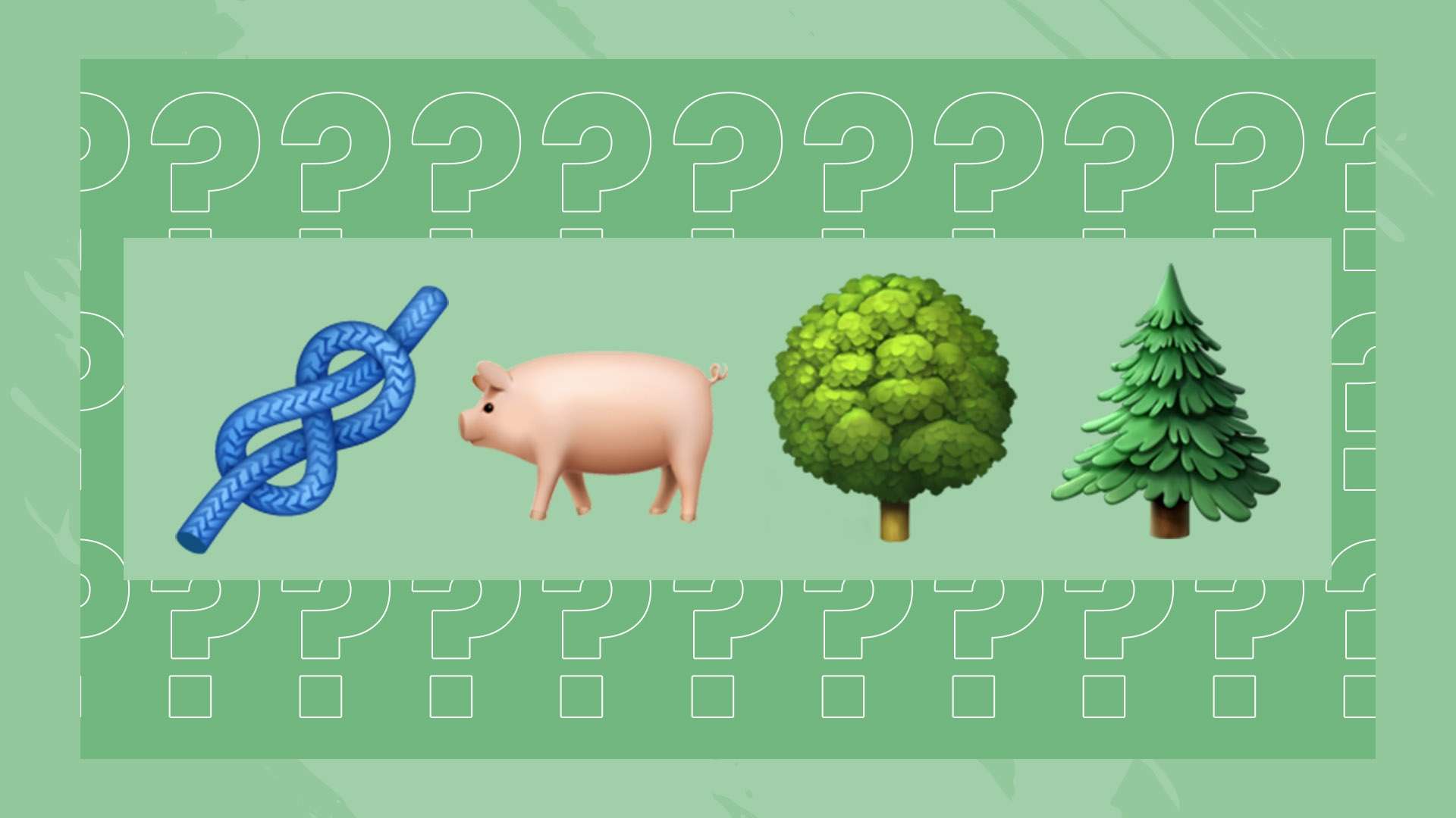 无惧挑战的 无惧挑战的